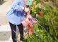 Jardinage Les Cinq Sens Garons